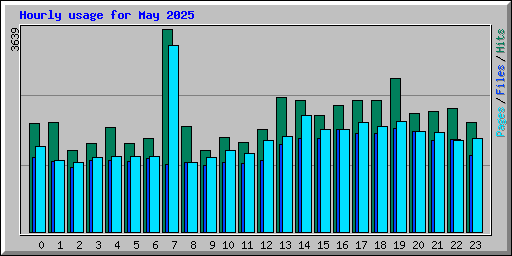 Hourly usage for May 2025
