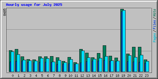 Hourly usage for July 2025