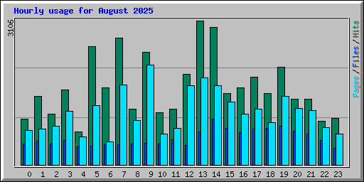 Hourly usage for August 2025