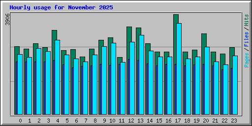 Hourly usage for November 2025