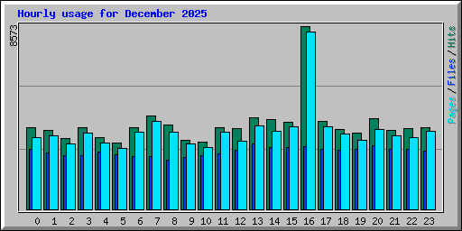 Hourly usage for December 2025