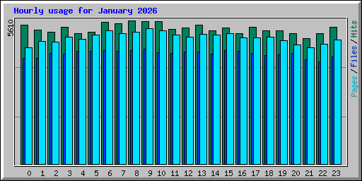 Hourly usage for January 2026