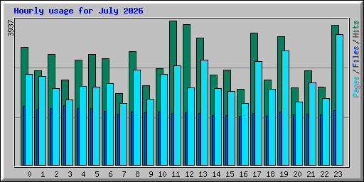 Hourly usage for July 2026